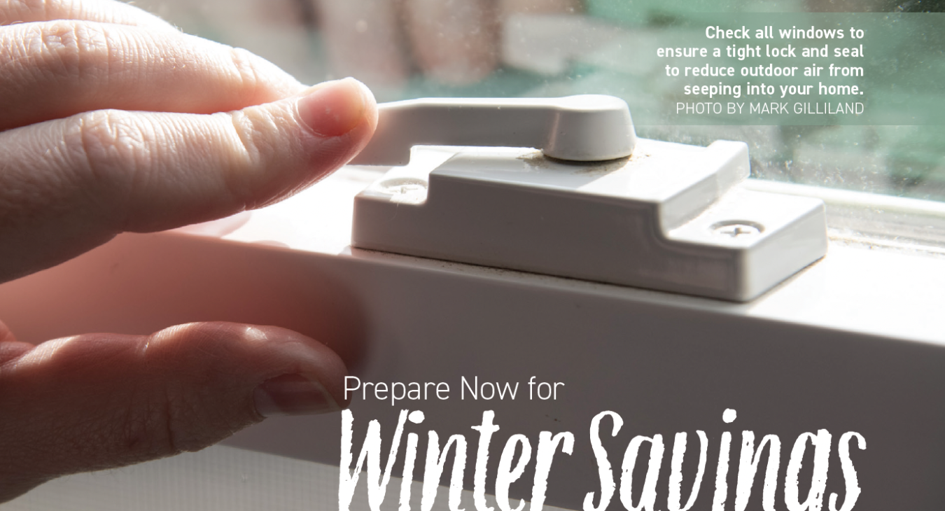 Energy Sense November