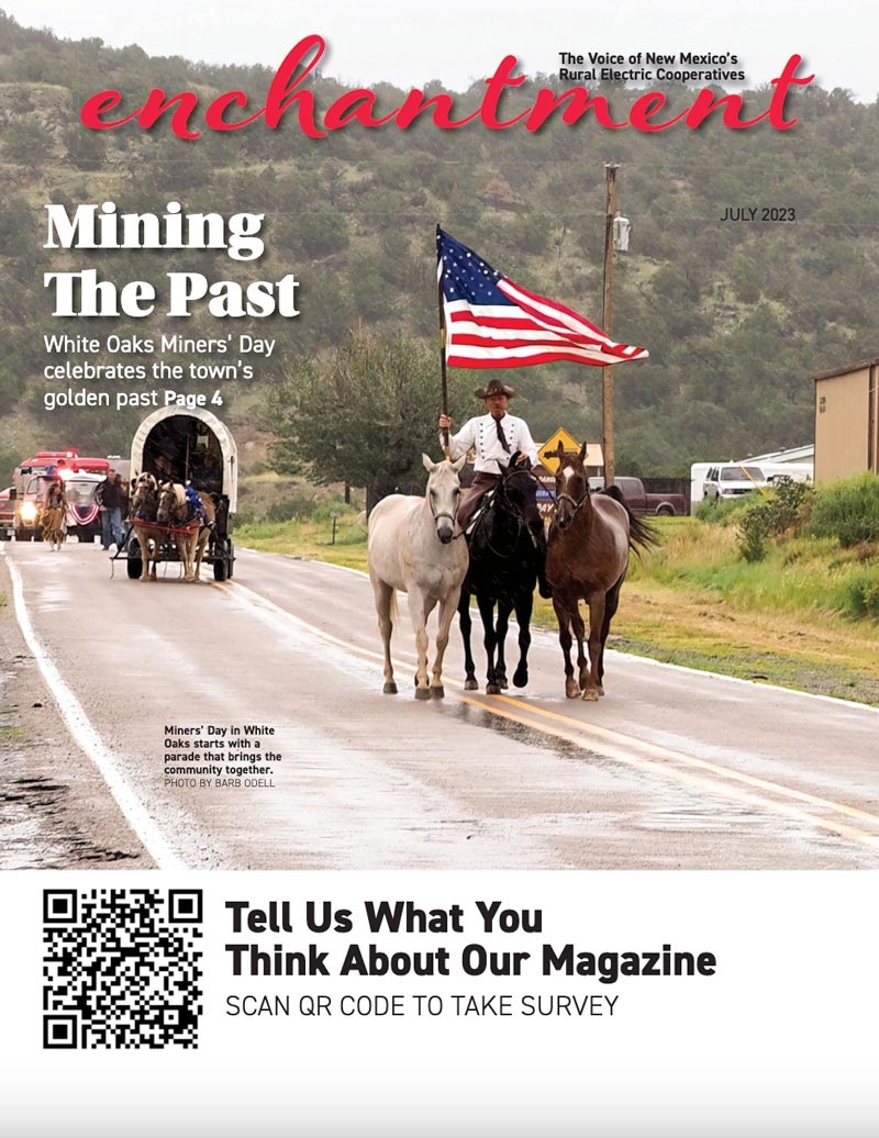 enchantment magazine cover