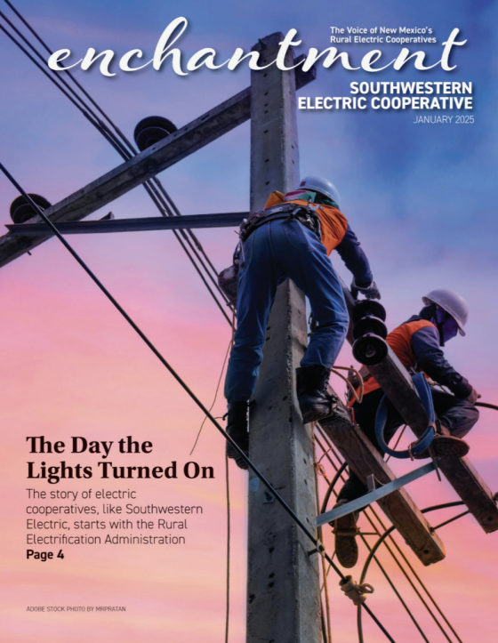 Jan Cover